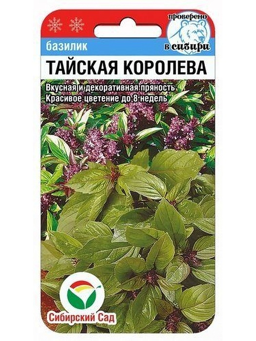 Базилик Тайская королева 0,5г (СибСад)