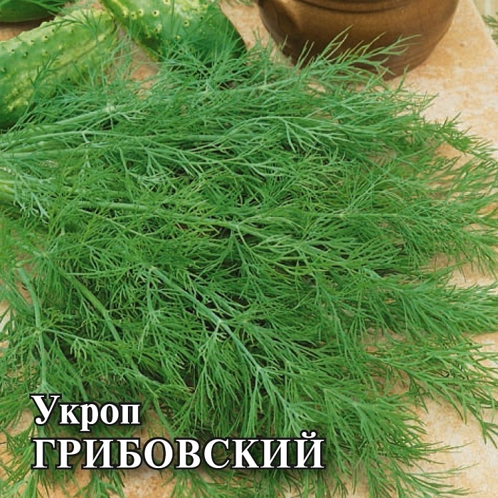 Укроп Грибовский 1кг (ПрСидс)