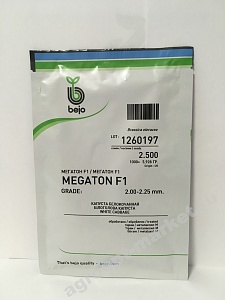 Капуста Мегатон F1 2500шт (Bejo)