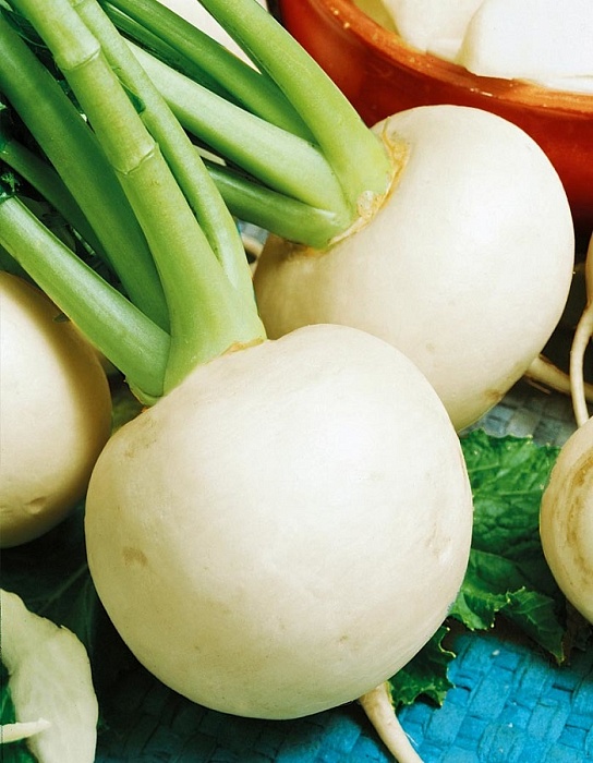 Репа Снегурочка 1кг (ПрСидс)