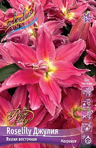 Лилия Roselily&Джулия 12/14 1шт (КолЛайн) 