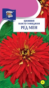 Цинния Ред Мен 0,2г ц/п (УУ) кактусовид.