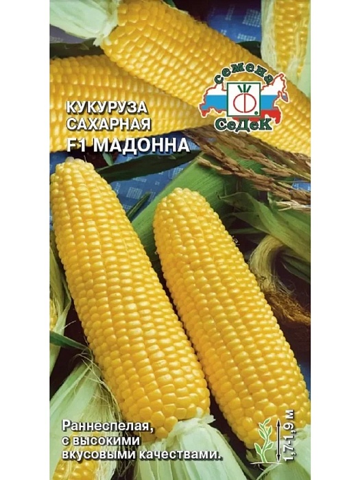 Кукуруза Мадонна F1 4г ц/п (Седек) ранн.суперслад.крупнозерн.