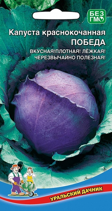 Капуста краснокочанная Победа 0,25г ц/п (УД) с/спелая, до 2кг