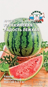 Арбуз Пекинская радость Лежкая F1 1г ц/п (Седек)