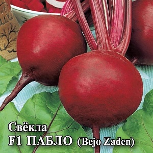 Свекла Пабло F1 25г (Bejo)