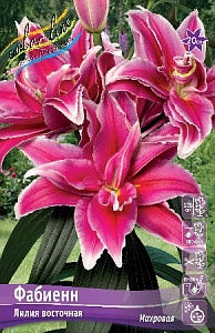 Лилия Фабиенн 12/14 1шт (КолЛай) 5шт/уп