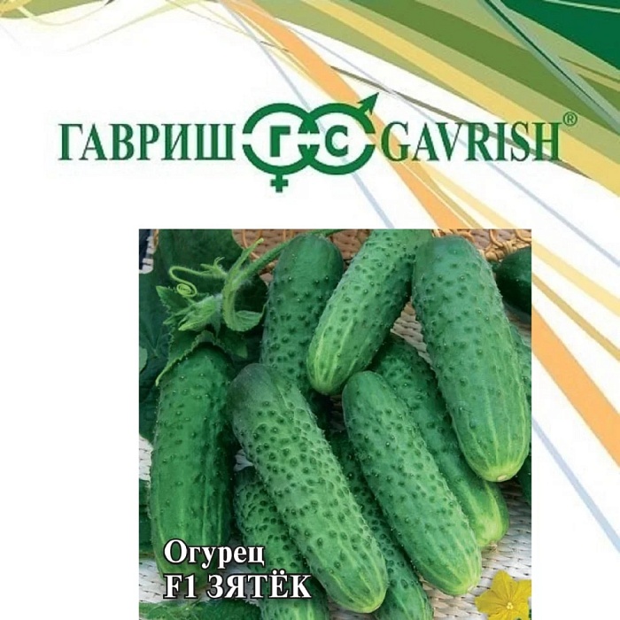 Огурец Зятек F1 100шт (Гавриш)