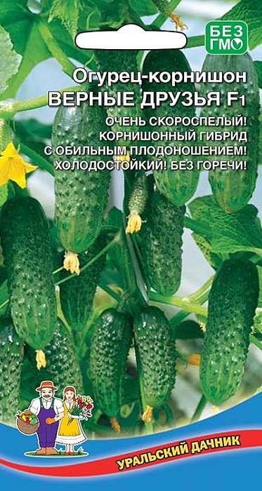 Огурец Верные друзья F1 10шт ц/п (УД) очень скороспелый,холодостойкий,8-10см