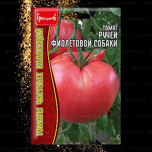 Томат Ручей Фиолетовой собаки 10шт (Григорьев)