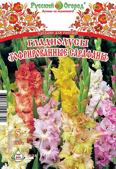 Гладиолус Гофриров.Сарафаны 12/14 1шт НК (5шт/уп)