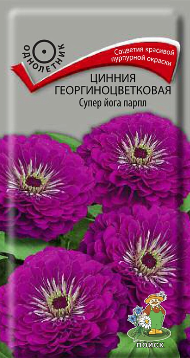 Цинния Супер Йога Парпл 0,4г ц/п (Поиск) георгиноц.90см.