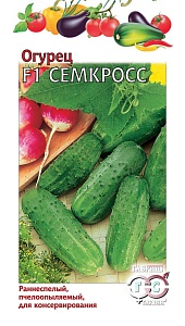 Огурец Семкросс F1 10шт ц/п (Гавриш)