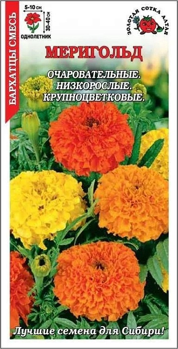 Бархатцы Мериголд Смесь 0,2г ц/п (З/Сотка) 30-40см/5-7см