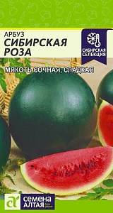 Арбуз Сибирская роза 1г ц/п (СемАлт)