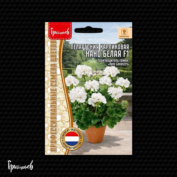 Пеларгония Торнадо Белая плющелистная F1 3шт (Григорьев)