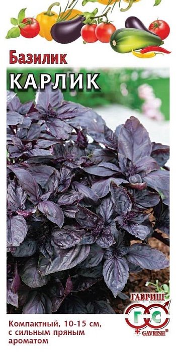 Базилик Карлик фиолетовый 0,1г ц/п (Гавриш)