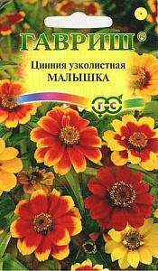 Цинния Малышка карликовая 0,3г ц/п (Гавриш) 
