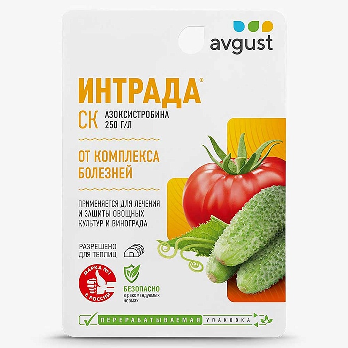Интрада 4мл (Август) 10/200 Новинка! 