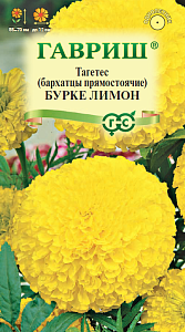 Бархатцы Бурке Лимон 0,3г ц/п (Гавриш) 