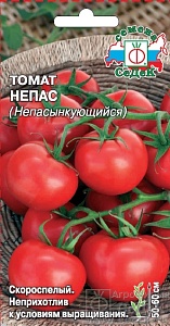 Томат Непасынкующийся 0,1г ц/п (Седек) 