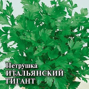 Петрушка листовая Итальянский гигант 50г (Гавриш)