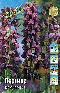 Фритиллярия Персика 1шт (КолЛайн) 