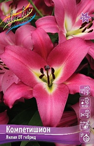 Лилия Компетишион 14/16 1шт (КолЛайн) 3шт/уп