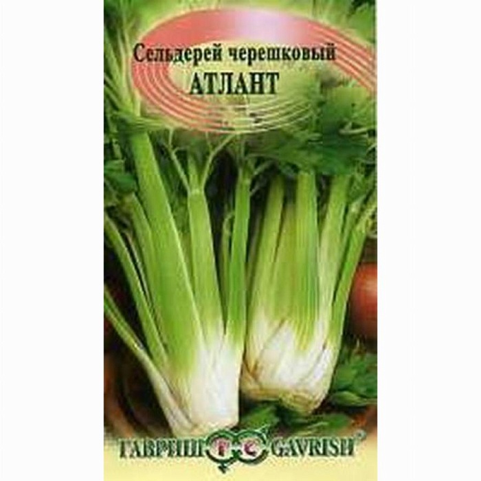 Сельдерей черешковый Атлант 0,1г ц/п (Гавриш)
