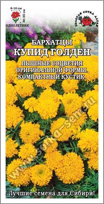 Бархатцы Купид Голден 0,2г ц/п (З/Сотка) 10см/35см