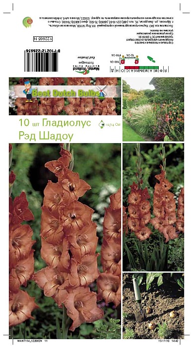 Гладиолус Ред Шадоу 12/14 1шт (НК) 10шт/уп