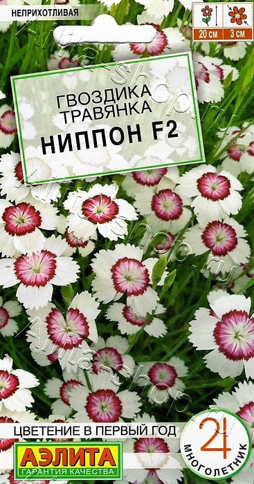Гвоздика Ниппон F2 0,05г ц/п (Аэлита)