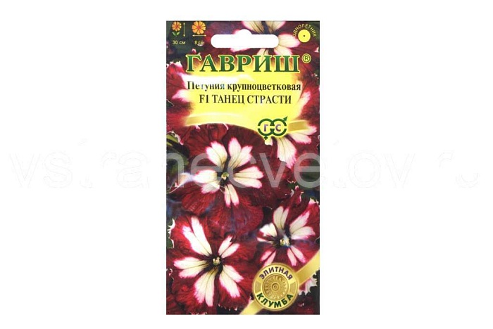 Петуния Танец страсти F1 7шт ц/п (Гавриш) Элит.клумба