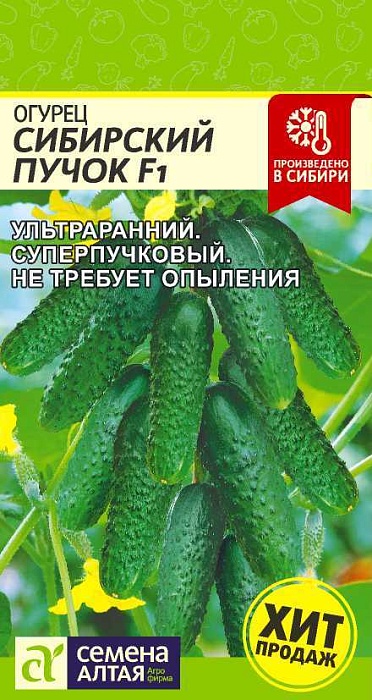 Огурец Сибирский пучок F1 5шт ц/п (СемАлт)
