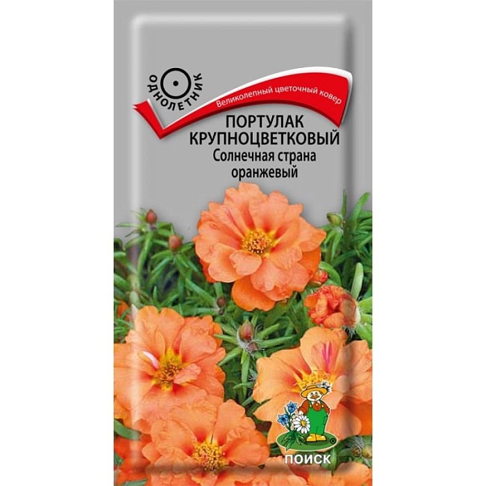 Портулак Солнечная страна Оранжевый 0,1г ц/п (Поиск) 10см