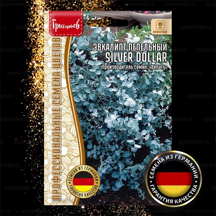 Эвкалипт Silver Dollar пепельный 5шт (Григорьев)