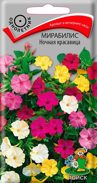 Мирабилис Ночная красавица 2,5г ц/п (Поиск) 75см