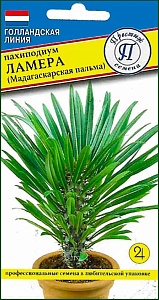 Пахиподиум Ламера 3шт (Престиж)