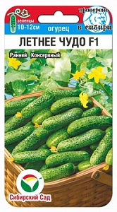 Огурец Летнее чудо 5шт (СибСад) Новинка