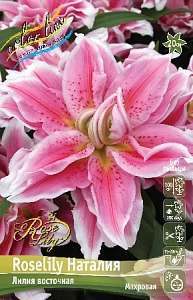 Лилия Roselily&Наталия 12/14 1шт (КолЛайн) 