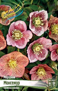 Морозник Монсежур 1шт (КолЛайн)