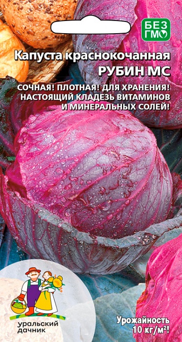 Капуста краснокочанная Рубин МС 0,25г ц/п (УД) среднеспелая