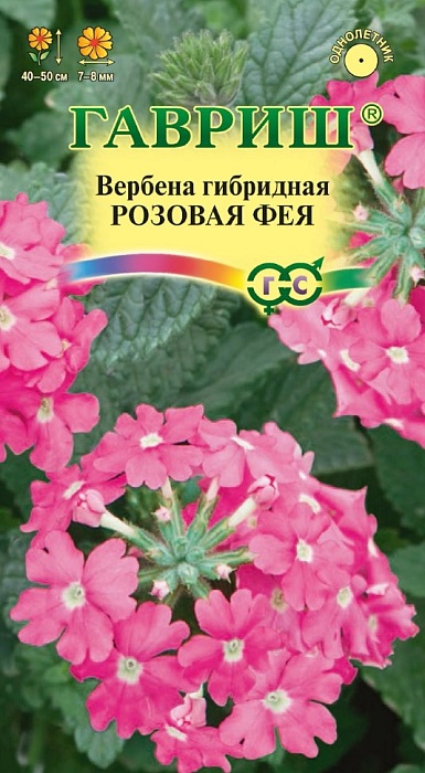 Вербена Розовая фея ц/п (Гавриш)