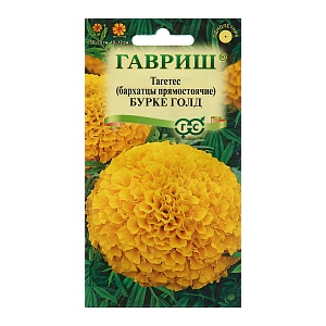 Бархатцы Бурке Голд 0,3г ц/п (Гавриш) 