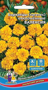 Бархатцы Валенсия ц/п (УД)