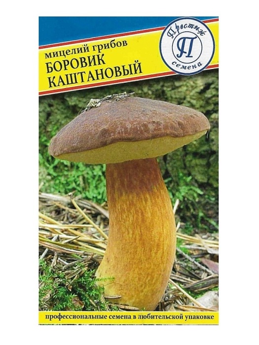Мицелий грибов Боровик каштановый  60мл ц/п (Престиж)