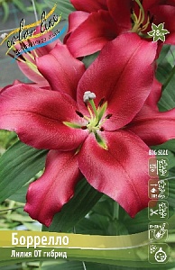 Лилия Боррелло 14/16 1шт (КолЛайн) 5шт/уп