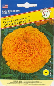 Бархатцы Антигуа F1 Оранжевые 5шт (Престиж) 25см