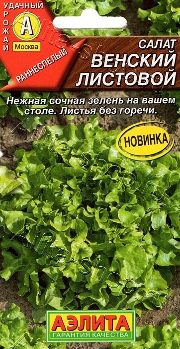 Салат Венский листовой 0,5г ц/п (Аэлита)
