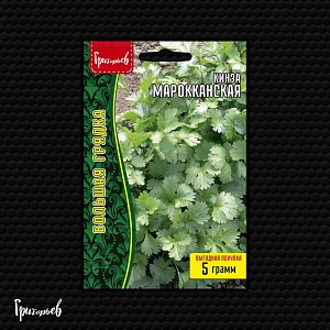 Кинза Марокканская ВП 5г (Григорьев)